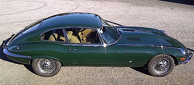 Jaguar Seite.jpeg